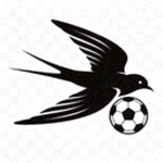 雨燕足球官方Logo - 免费高清足球直播平台标志